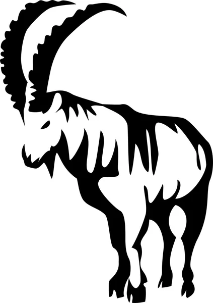 Ibex - mountain goat — Stock Vector