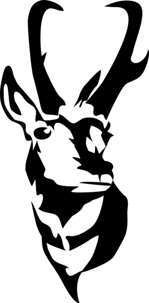 Hoofd van Gaffelbok antelope — Stockvector