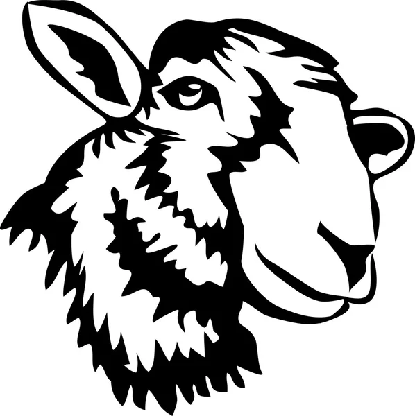 頭の羊 — ストックベクタ