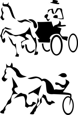 Trotter ve koşum yarış