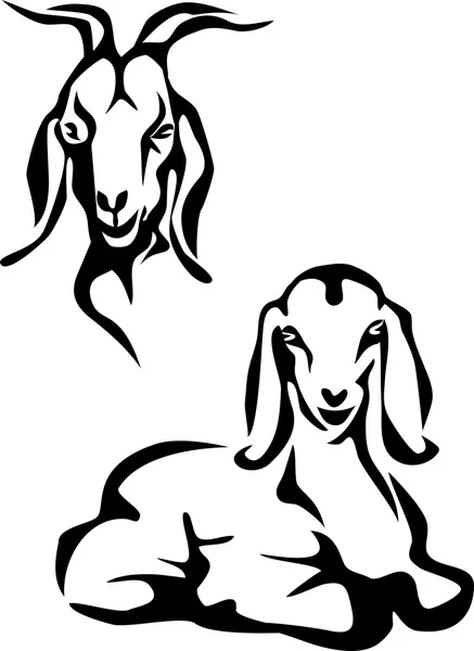 African goat illustration — Stock Vector