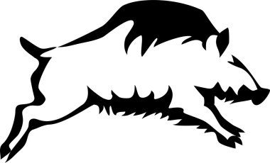 yaban domuzu çalıştıran