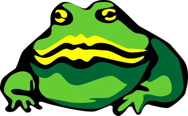Ilustración rana verde — Vector de stock