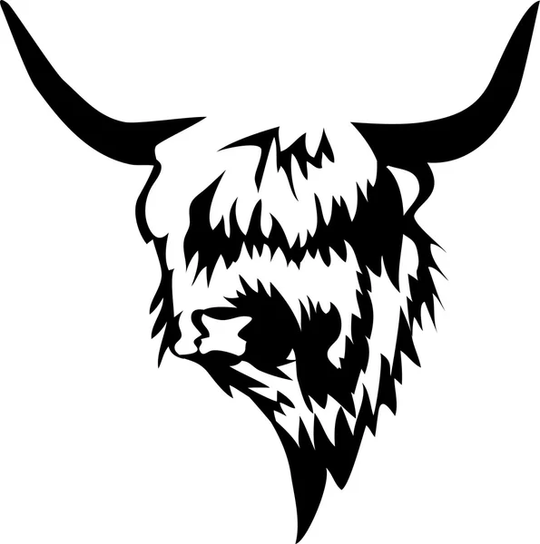 Hoofd van highland stier — Stockvector