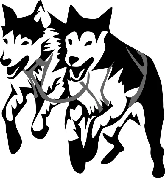 Perros de trineo corriendo — Vector de stock