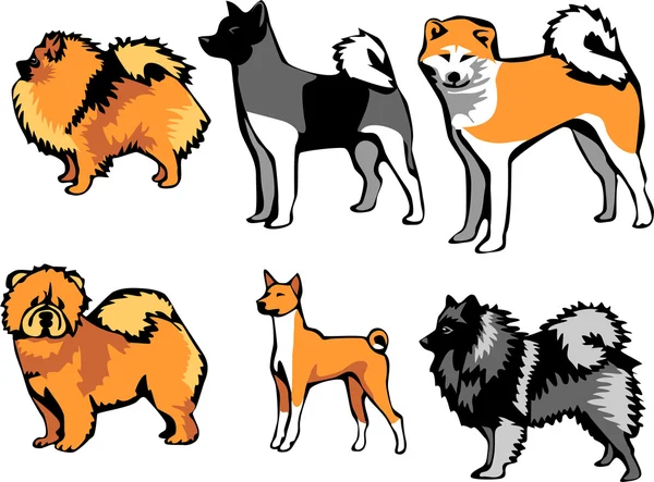 Spitz türü köpek ırkları