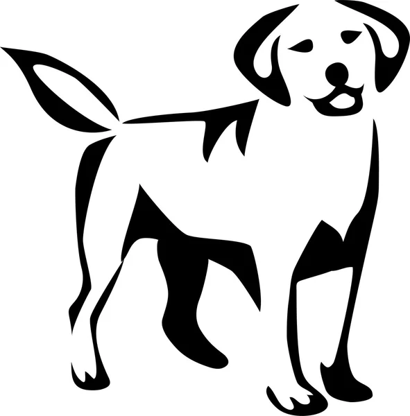 Standing labrador retriever — Stock Vector