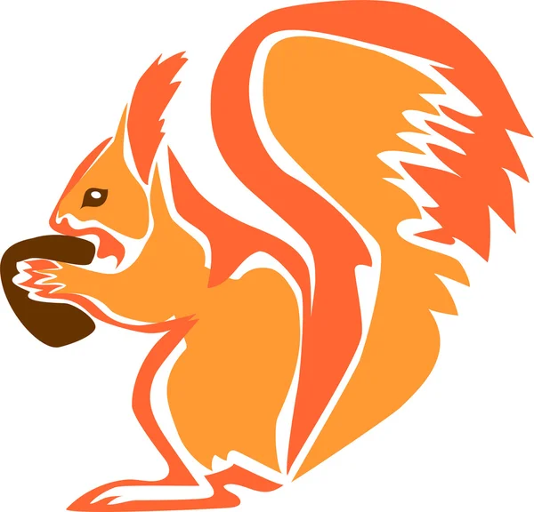 Κόκκινο σκίουρο με καρύδι — Διανυσματικό Αρχείο