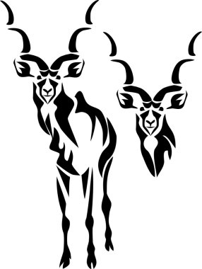 Kudu antilop illüstrasyon