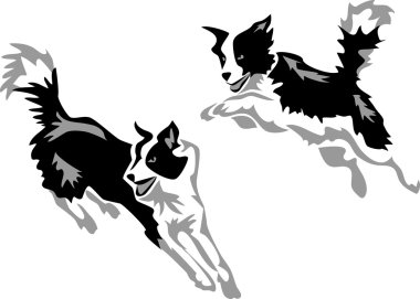 border collie jumping clipart