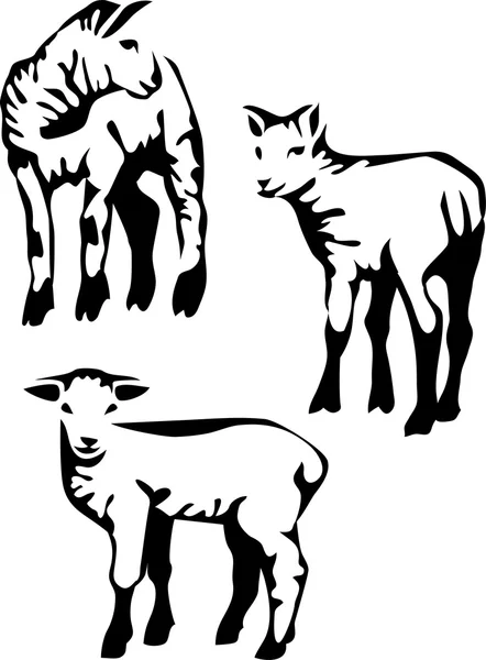 Lamb - vector illustration — Stock Vector