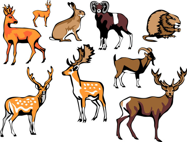 Европейские млекопитающие - игра
