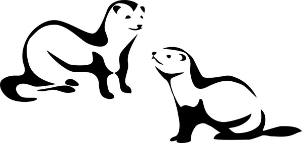 Ferret - vectorillustratie — Stockvector