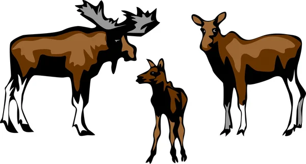 Moose familie illustratie — Stockvector