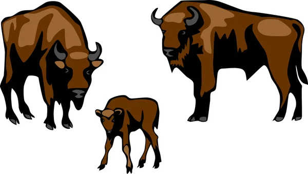 Wisent family vector — Stock Vector