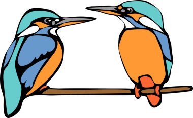 ortak kingfisher vektör