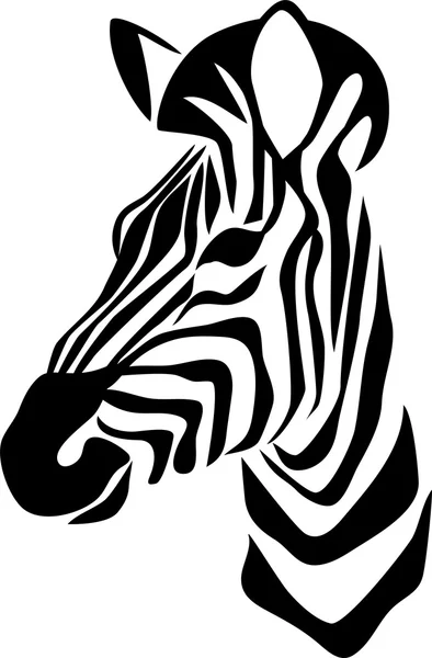 Head of zebra — Stock Vector