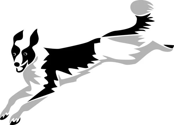 跳跃的边境牧羊犬 — 图库矢量图片