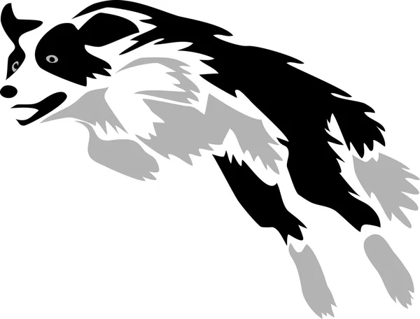 Springen Bordercollie — Stockvector