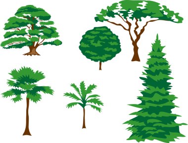 ağaçlar - vektör çizim