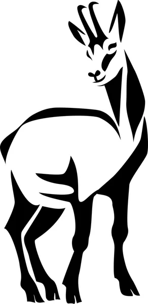Chamois - vektör çizim