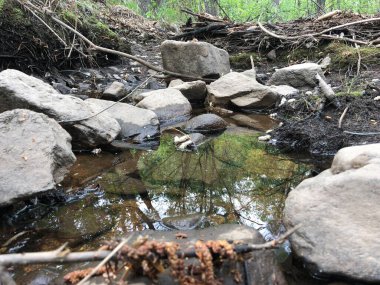    Kesilmiş, yol, yol, çizgi, 