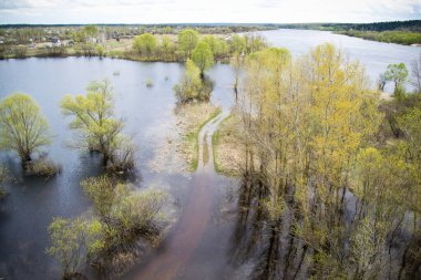 Taze yeşillikte bir nehrin taşkın ovası