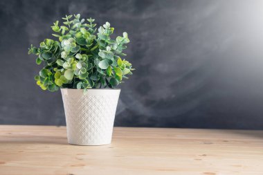 a pot of plants on a wooden table and on the background of the board