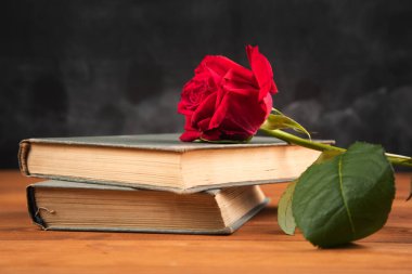 Ahşap bir arka planda kırmızı bir gül