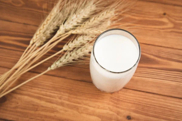 Milch Glas Und Weizen Auf Einem Holztisch — Stockfoto