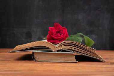 Ahşap bir arka planda kırmızı bir gül