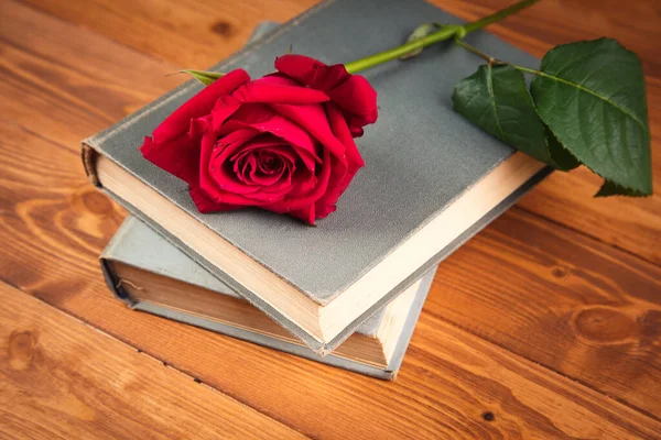 red rose on a book on a wooden background