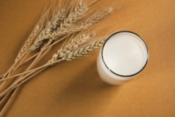 Milch Glas Und Weizen Auf Braunem Hintergrund — Stockfoto