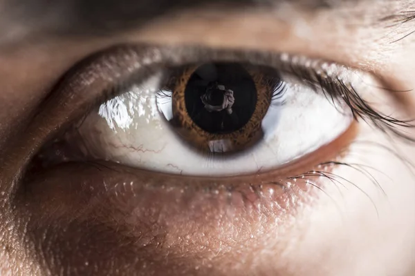 Makro Mercekte Erkek Gözü — Stok fotoğraf