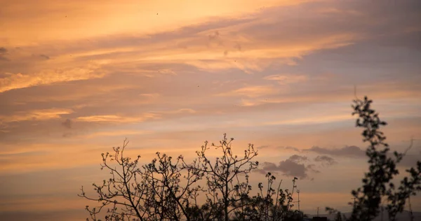 Red Clouds Evening Sunset — Stock Photo, Image