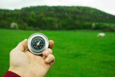 Gün boyunca yeşil bir alanın arka planına pusula dayamak