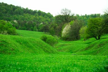 Gün boyunca tepede yeşil tarlalar ve orman