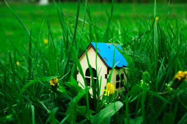 Çimlerin üzerinde küçük bir ev