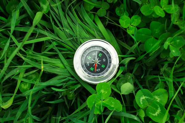 Brújula Hierbas Verdes Durante Día — Foto de Stock