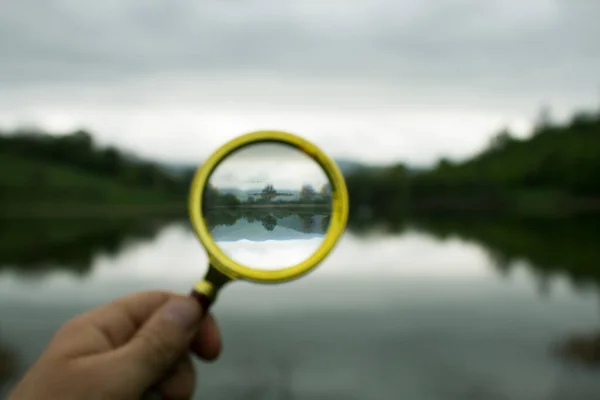 Lupe Blickt Auf Die Bäume See — Stockfoto