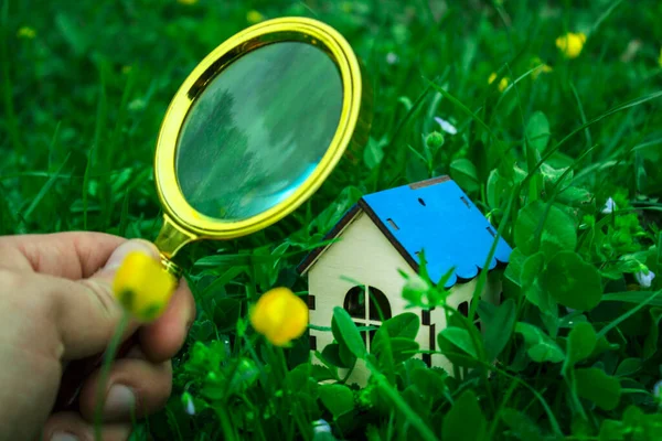 Lupe Auf Das Haus Gras — Stockfoto