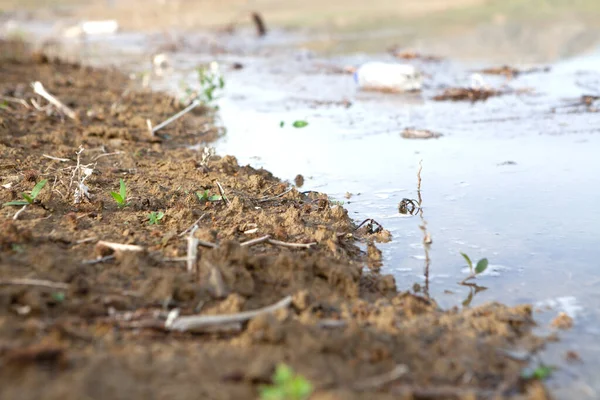 Basura Lago Durante Día — Foto de Stock