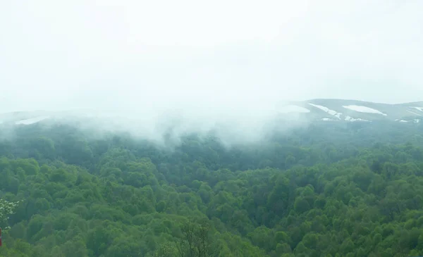 Les Hoře Mlha Nad Ním Večerních Hodinách — Stock fotografie