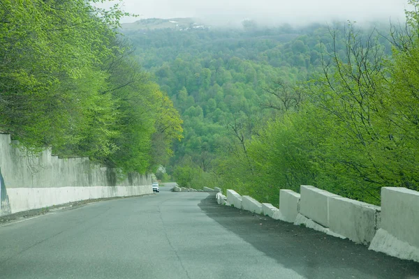 Strada Asfaltata Scende Fianco Della Montagna Nel Bosco Sera — Foto Stock