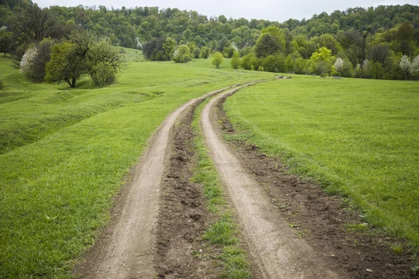 Tarlalardan Geçen Toprak Bir Yol Gün Boyunca Ormana Gider — Stok fotoğraf