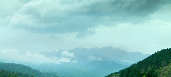 green forest rises to the mountain in the evening