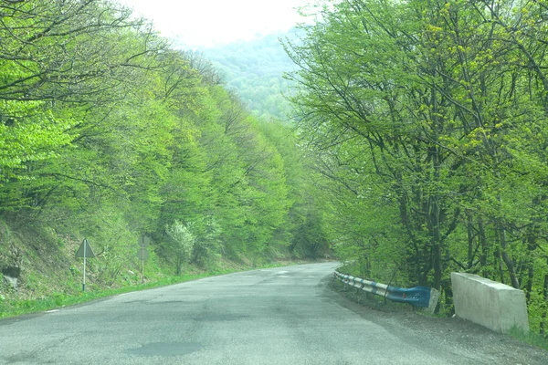 Asfalt Yol Aşağı Iniyor Dağlık Araziye Akşamleyin Ormanda — Stok fotoğraf