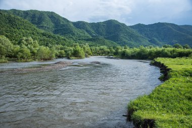 Nehir baharda ormana gidiyor.