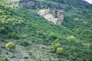 Yamaçtaki orman ve ilkbaharda kayalıklar