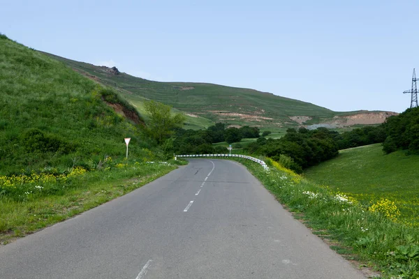 Asfalt Yol Aşağı Iniyor Dağlık Araziye Akşamleyin Ormanda — Stok fotoğraf